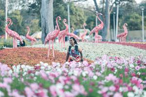 BIB: 
                            <button type="button" onclick="openModal(27344066)" class="btn btn-primary btn-sm float-right btn-popup" data-toggle="modal" data-target=".modal-high-quality">
                        <i class="fas fa-shopping-cart"></i> Add to Cart
                    </button>
                                            <button type="button" onclick="isThisMe(27344066, true)" class="btn btn-success btn-sm float-right btn-popup btn-isme hidden" data-toggle="tooltip" data-placement="bottom" title="นี่คือรูปของคุณใช่ไหม คลิกที่นี่เพื่อเอาเข้าอัลบั้ม">
                        <i class="fas fa-plus"></i> Add to album
                    </button>
                    <button type="button" onclick="isThisMe(27344066, false)" class="btn btn-warning btn-sm float-right btn-popup btn-isnotme hidden">
                        <i class="fas fa-ban"></i> Remove from album
                    </button>